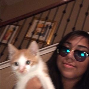 Meet your Posher, Mona